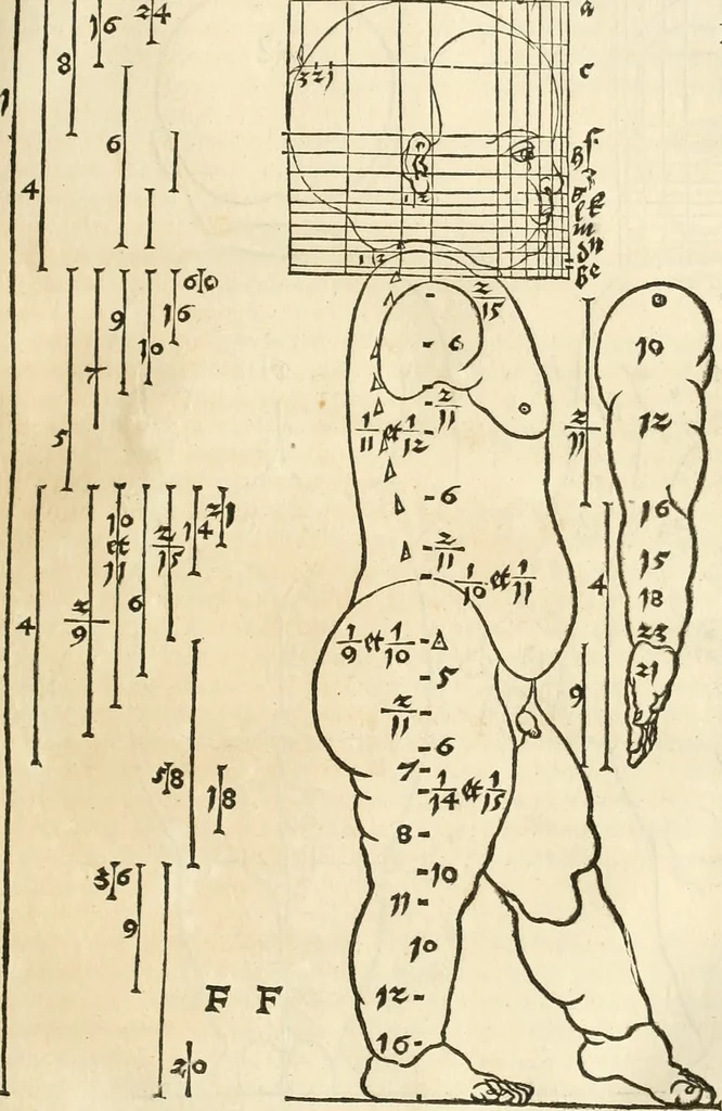 An illustration from Alberti Dvreri clarissimi pictoris et geometrae De symmetria partium humanorum corporum libri quatuor : è germanica lingua in latinam versi, 1557, leaf 64