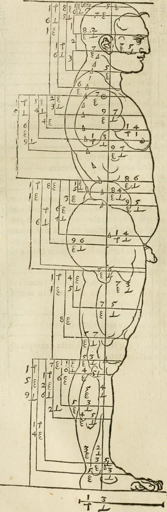 An illustration from Alberti Dvreri clarissimi pictoris et geometrae De symmetria partium humanorum corporum libri quatuor : è germanica lingua in latinam versi, 1557, leaf 69