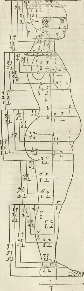 An illustration from Alberti Dvreri clarissimi pictoris et geometrae De symmetria partium humanorum corporum libri quatuor : è germanica lingua in latinam versi, 1557, leaf 73