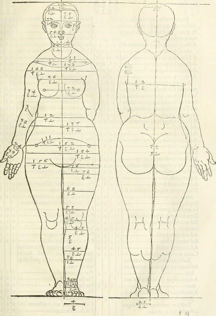 An illustration from Alberti Dvreri clarissimi pictoris et geometrae De symmetria partium humanorum corporum libri quatuor : è germanica lingua in latinam versi, 1557, leaf 74