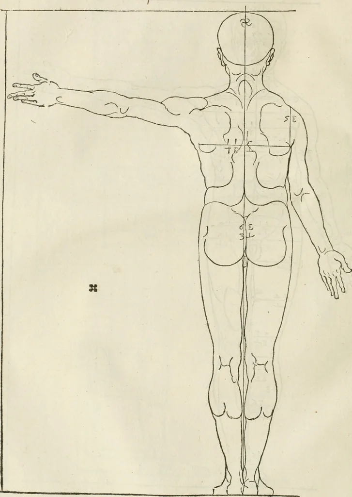 An illustration from Alberti Dvreri clarissimi pictoris et geometrae De symmetria partium humanorum corporum libri quatuor : è germanica lingua in latinam versi, 1557, leaf 79