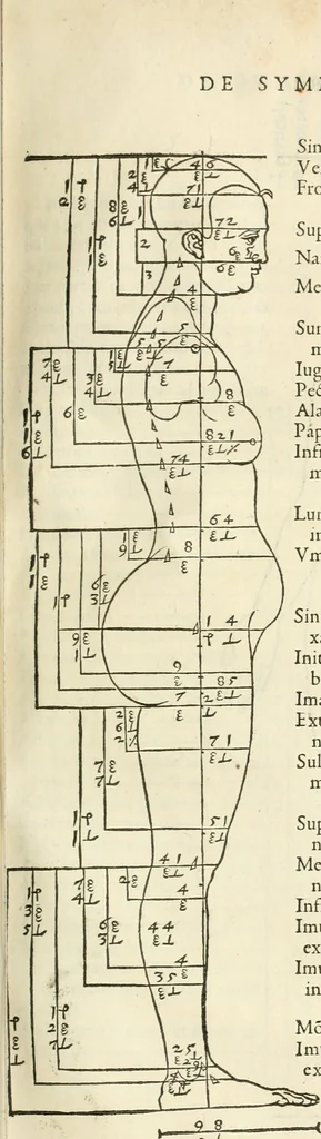 An illustration from Alberti Dvreri clarissimi pictoris et geometrae De symmetria partium humanorum corporum libri quatuor : è germanica lingua in latinam versi, 1557, leaf 82