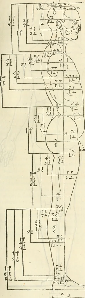 An illustration from Alberti Dvreri clarissimi pictoris et geometrae De symmetria partium humanorum corporum libri quatuor : è germanica lingua in latinam versi, 1557, leaf 86