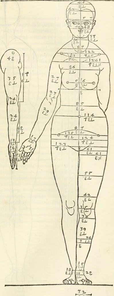 An illustration from Alberti Dvreri clarissimi pictoris et geometrae De symmetria partium humanorum corporum libri quatuor : è germanica lingua in latinam versi, 1557, leaf 90