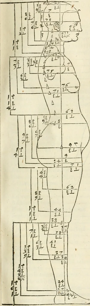 An illustration from Alberti Dvreri clarissimi pictoris et geometrae De symmetria partium humanorum corporum libri quatuor : è germanica lingua in latinam versi, 1557, leaf 94