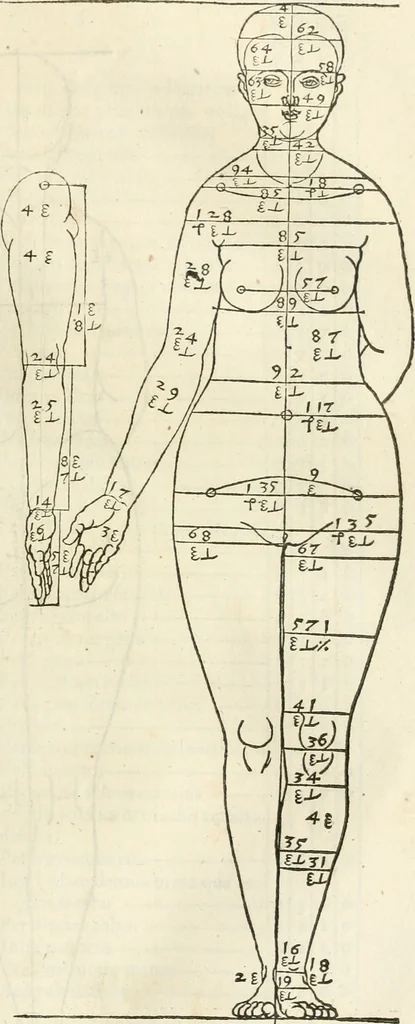 An illustration from Alberti Dvreri clarissimi pictoris et geometrae De symmetria partium humanorum corporum libri quatuor : è germanica lingua in latinam versi, 1557, leaf 94