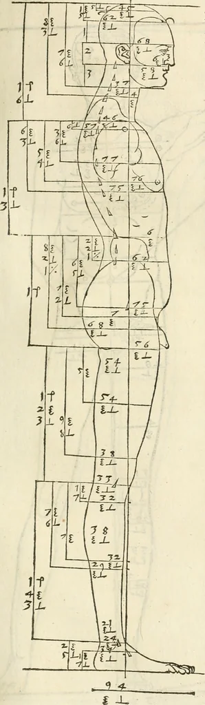 An illustration from Alberti Dvreri clarissimi pictoris et geometrae De symmetria partium humanorum corporum libri quatuor : è germanica lingua in latinam versi, 1557, leaf 98