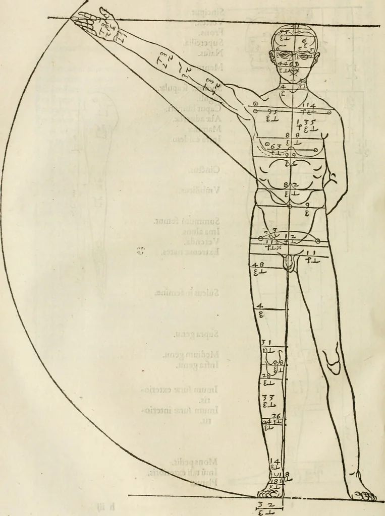 An illustration from Alberti Dvreri clarissimi pictoris et geometrae De symmetria partium humanorum corporum libri quatuor : è germanica lingua in latinam versi, 1557, leaf 99