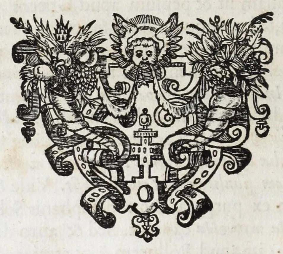 An illustration from Alberti RvbenI Petri Pavli F. De re vestiaria vetervm praecipve de lato clavo libri dvo : et alia eiusdem opuscula posthuma, quorum seriem adversa pagina exhibet, 1665, leaf 158