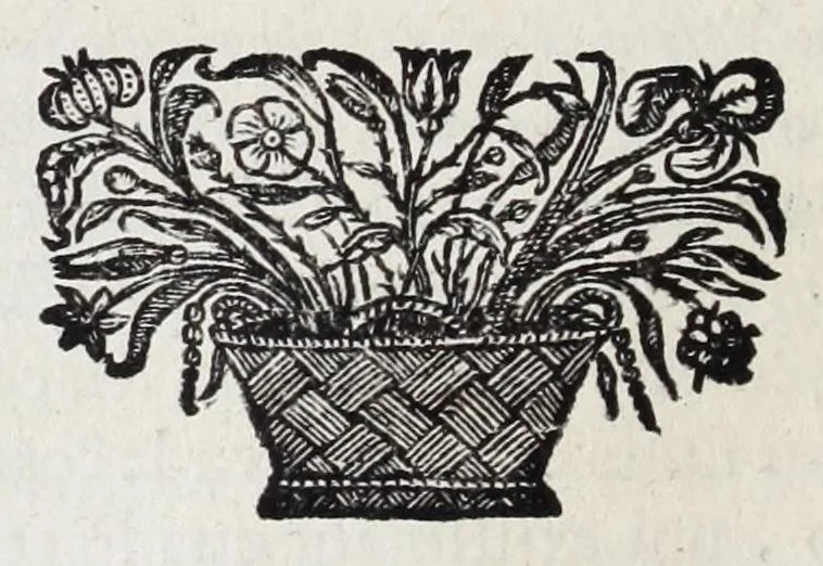 An illustration from Alberti RvbenI Petri Pavli F. De re vestiaria vetervm praecipve de lato clavo libri dvo : et alia eiusdem opuscula posthuma, quorum seriem adversa pagina exhibet, 1665, leaf 202