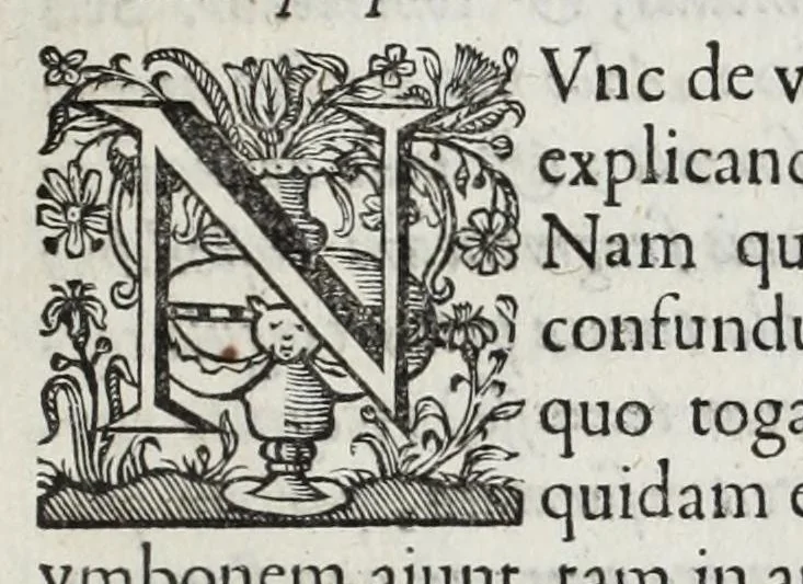 An illustration from Alberti RvbenI Petri Pavli F. De re vestiaria vetervm praecipve de lato clavo libri dvo : et alia eiusdem opuscula posthuma, quorum seriem adversa pagina exhibet, 1665, leaf 213