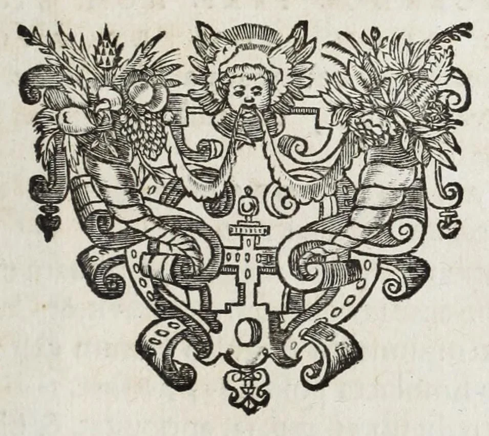 An illustration from Alberti RvbenI Petri Pavli F. De re vestiaria vetervm praecipve de lato clavo libri dvo : et alia eiusdem opuscula posthuma, quorum seriem adversa pagina exhibet, 1665, leaf 253