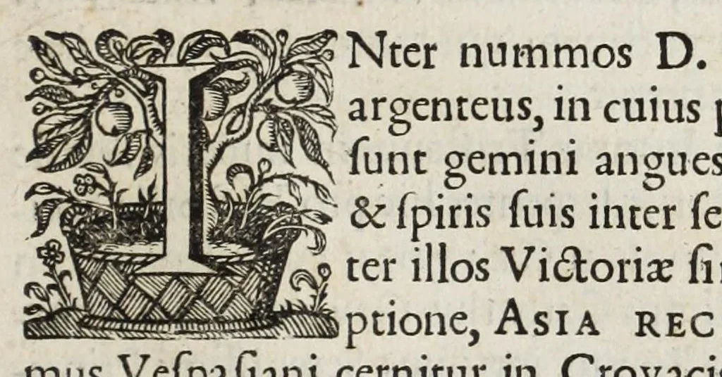 An illustration from Alberti RvbenI Petri Pavli F. De re vestiaria vetervm praecipve de lato clavo libri dvo : et alia eiusdem opuscula posthuma, quorum seriem adversa pagina exhibet, 1665, leaf 303