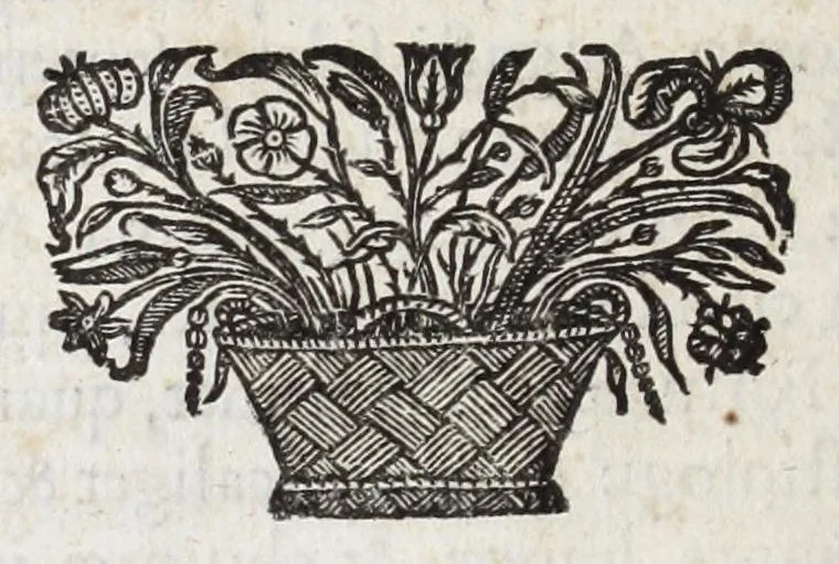 An illustration from Alberti RvbenI Petri Pavli F. De re vestiaria vetervm praecipve de lato clavo libri dvo : et alia eiusdem opuscula posthuma, quorum seriem adversa pagina exhibet, 1665, leaf 352