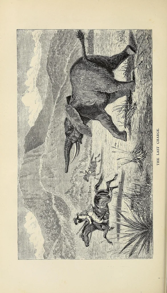 An illustration from The Albert Nyanza, great basin of the Nile, and explorations of the Nile sources, 1866, leaf 226