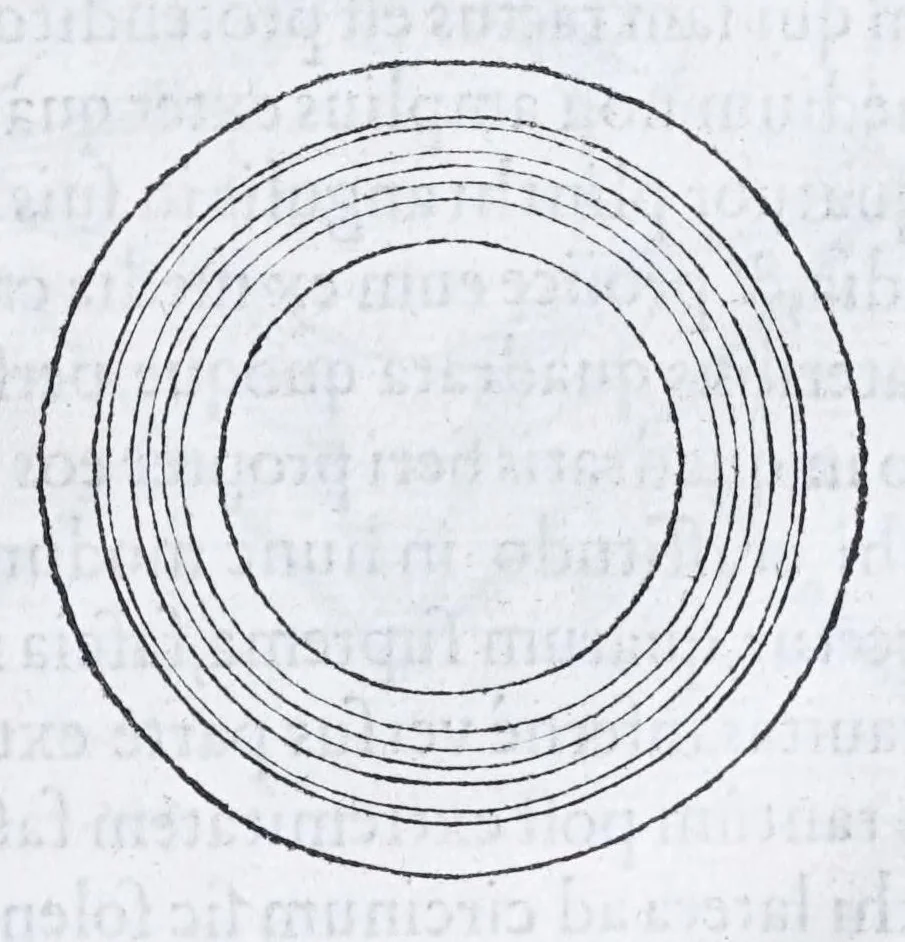 An illustration from Albertvs Dvrervs Nvrembergensis pictor hvivs aetatis celeberrimus, versus è Germanica lingua in Latinam : pictoribus, fabris aerariis ac lignariis, lapicidis, statuariis, & vniuersis demum qui circino, gnomone, libella, aut alioqui certa mensura opera sua examinant, propè necessarius, adeò exactè : quatuor his suaru[m] Institutionum geometricarum libris, lineas, superficies & solida corpora tractauit, adhibitis designationibus ad eam rem accommodatissimis : denuo ad scripti exemplaris fidem omnia diligenter recognita, emendatius iam in lucem exeunt, 1535, leaf 105