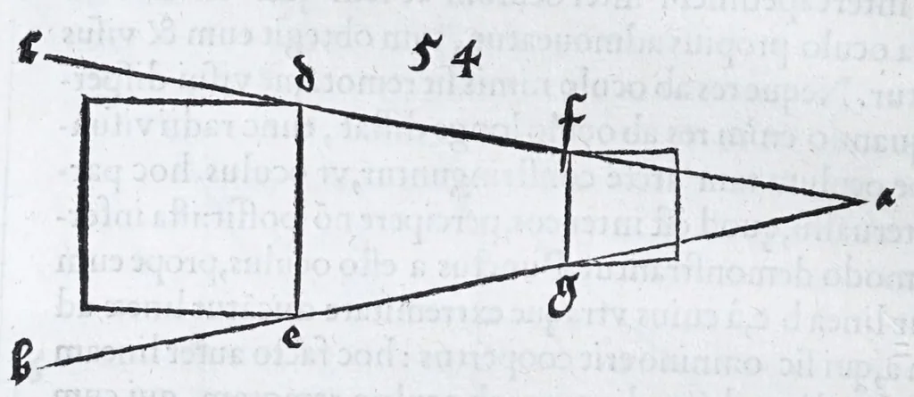 An illustration from Albertvs Dvrervs Nvrembergensis pictor hvivs aetatis celeberrimus, versus è Germanica lingua in Latinam : pictoribus, fabris aerariis ac lignariis, lapicidis, statuariis, & vniuersis demum qui circino, gnomone, libella, aut alioqui certa mensura opera sua examinant, propè necessarius, adeò exactè : quatuor his suaru[m] Institutionum geometricarum libris, lineas, superficies & solida corpora tractauit, adhibitis designationibus ad eam rem accommodatissimis : denuo ad scripti exemplaris fidem omnia diligenter recognita, emendatius iam in lucem exeunt, 1535, leaf 184