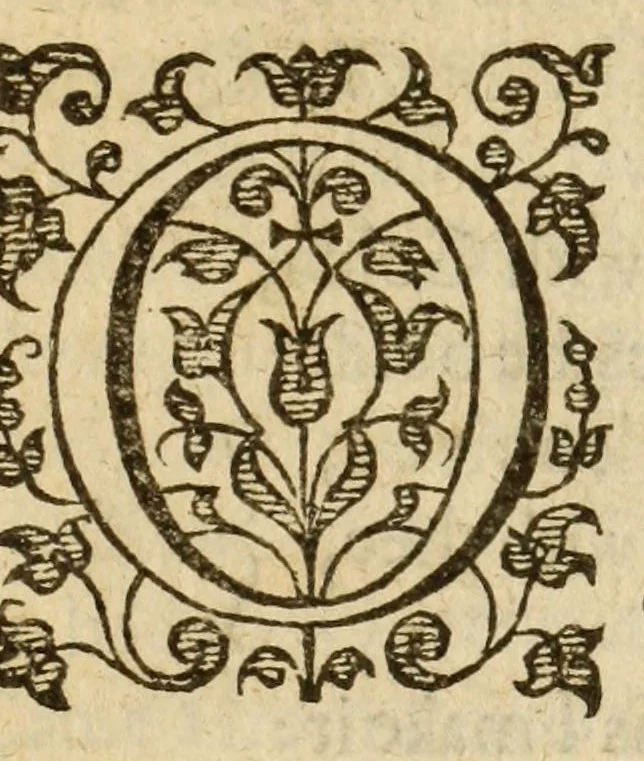 An illustration from Albions England : a continued historie of the same kingdome, from the originals of the first inhabitants thereof : with most the chiefe alterations and accidents theare hapning, vnto, and in the happie raigne of our now most gracious soueraigne, Queene Elizabeth : not barren in varietie of inuentiue and historicall intermixtures, 1602, leaf 221