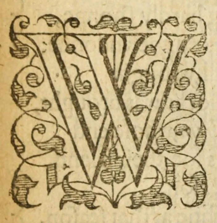 An illustration from Albions England : a continued historie of the same kingdome, from the originals of the first inhabitants thereof : with most the chiefe alterations and accidents theare hapning, vnto, and in the happie raigne of our now most gracious soueraigne, Queene Elizabeth : not barren in varietie of inuentiue and historicall intermixtures, 1602, leaf 238