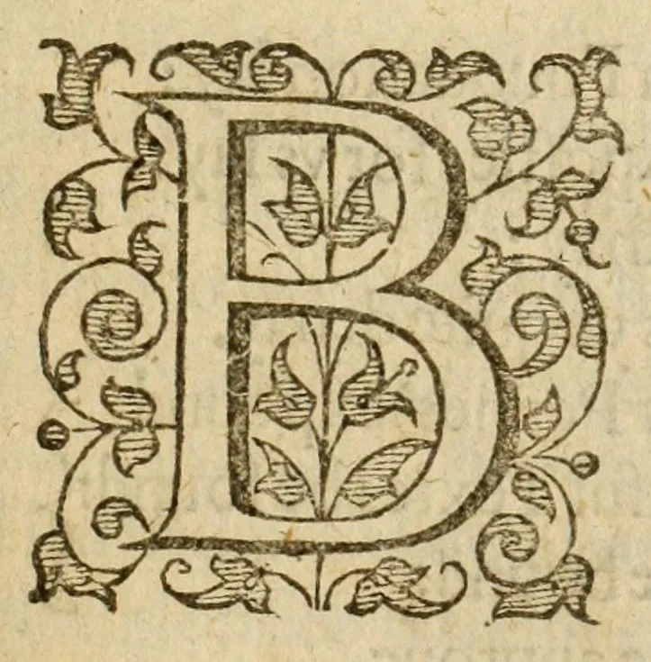 An illustration from Albions England : a continued historie of the same kingdome, from the originals of the first inhabitants thereof : with most the chiefe alterations and accidents theare hapning, vnto, and in the happie raigne of our now most gracious soueraigne, Queene Elizabeth : not barren in varietie of inuentiue and historicall intermixtures, 1602, leaf 257