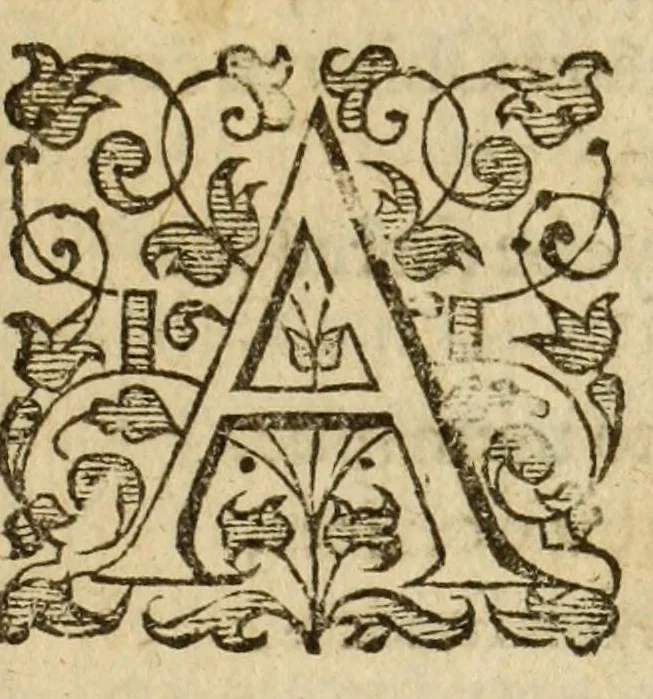 An illustration from Albions England : a continued historie of the same kingdome, from the originals of the first inhabitants thereof : with most the chiefe alterations and accidents theare hapning, vnto, and in the happie raigne of our now most gracious soueraigne, Queene Elizabeth : not barren in varietie of inuentiue and historicall intermixtures, 1602, leaf 261