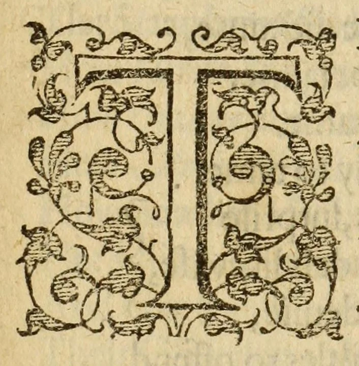 An illustration from Albions England : a continued historie of the same kingdome, from the originals of the first inhabitants thereof : with most the chiefe alterations and accidents theare hapning, vnto, and in the happie raigne of our now most gracious soueraigne, Queene Elizabeth : not barren in varietie of inuentiue and historicall intermixtures, 1602, leaf 285