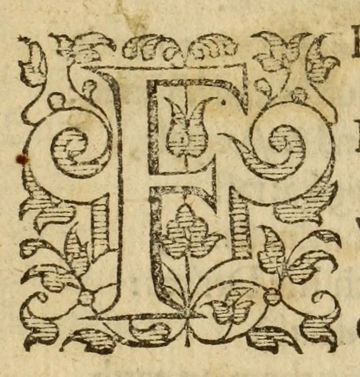An illustration from Albions England : a continued historie of the same kingdome, from the originals of the first inhabitants thereof : with most the chiefe alterations and accidents theare hapning, vnto, and in the happie raigne of our now most gracious soueraigne, Queene Elizabeth : not barren in varietie of inuentiue and historicall intermixtures, 1602, leaf 293