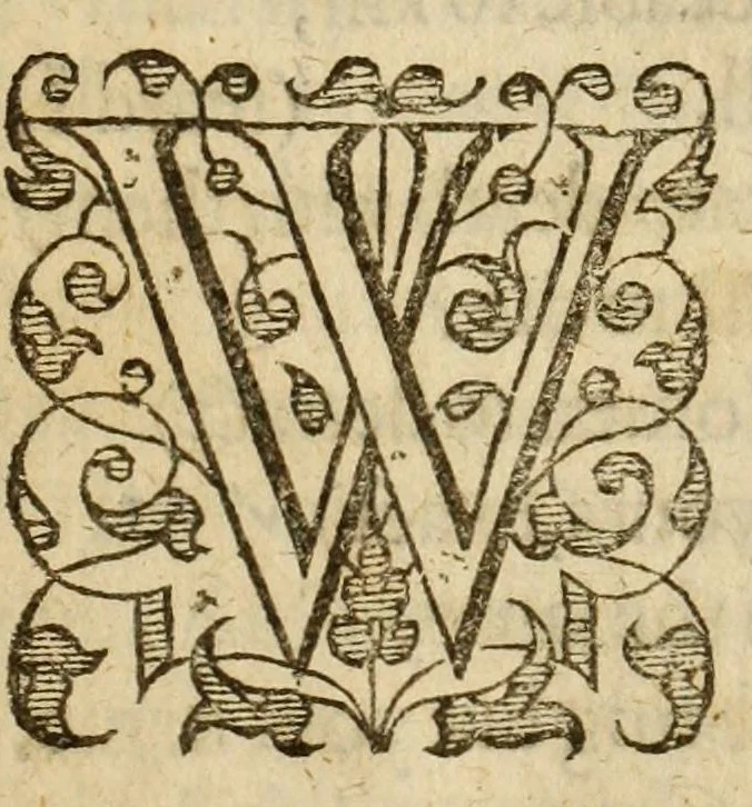 An illustration from Albions England : a continued historie of the same kingdome, from the originals of the first inhabitants thereof : with most the chiefe alterations and accidents theare hapning, vnto, and in the happie raigne of our now most gracious soueraigne, Queene Elizabeth : not barren in varietie of inuentiue and historicall intermixtures, 1602, leaf 295