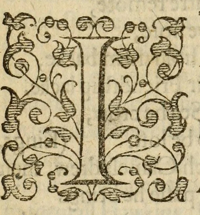 An illustration from Albions England : a continued historie of the same kingdome, from the originals of the first inhabitants thereof : with most the chiefe alterations and accidents theare hapning, vnto, and in the happie raigne of our now most gracious soueraigne, Queene Elizabeth : not barren in varietie of inuentiue and historicall intermixtures, 1602, leaf 303