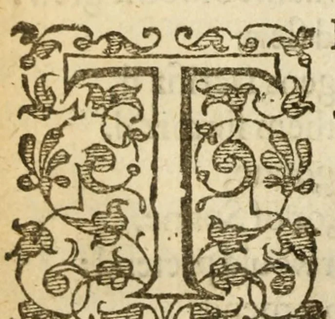 An illustration from Albions England : a continued historie of the same kingdome, from the originals of the first inhabitants thereof : with most the chiefe alterations and accidents theare hapning, vnto, and in the happie raigne of our now most gracious soueraigne, Queene Elizabeth : not barren in varietie of inuentiue and historicall intermixtures, 1602, leaf 342