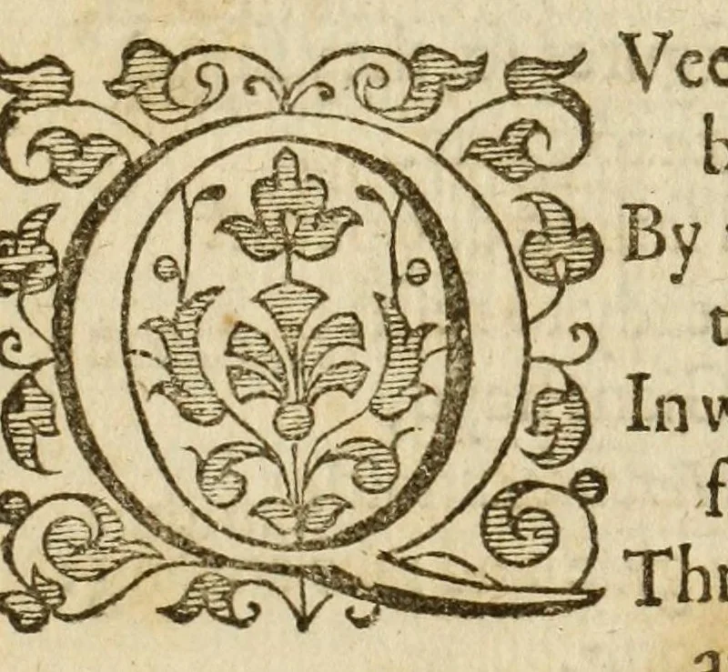 An illustration from Albions England : a continued historie of the same kingdome, from the originals of the first inhabitants thereof : with most the chiefe alterations and accidents theare hapning, vnto, and in the happie raigne of our now most gracious soueraigne, Queene Elizabeth : not barren in varietie of inuentiue and historicall intermixtures, 1602, leaf 35