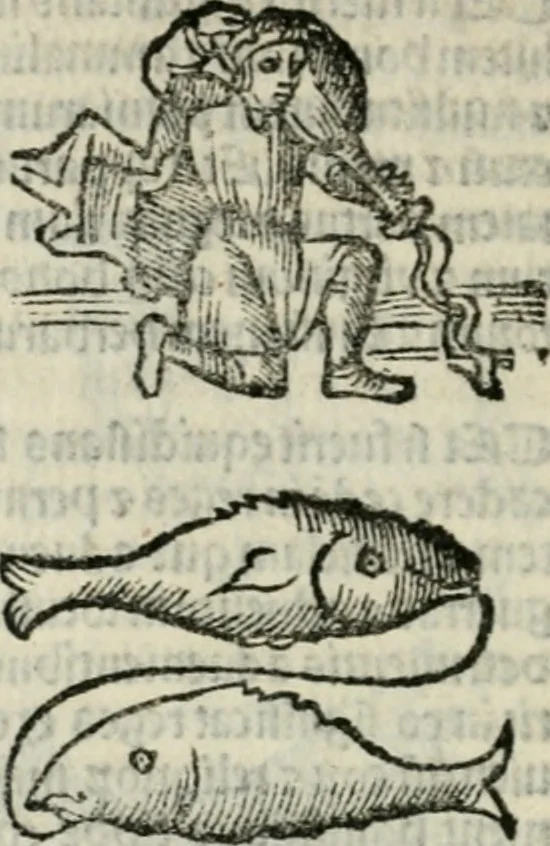 An illustration from Albumasar, De magnis [con]iunctionibus, anno[rum] reuolutio[n]ibus, ac eo[rum] profectionibus octo [con]tines tractatus, 1515, leaf 105
