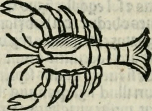 An illustration from Albumasar, De magnis [con]iunctionibus, anno[rum] reuolutio[n]ibus, ac eo[rum] profectionibus octo [con]tines tractatus, 1515, leaf 107