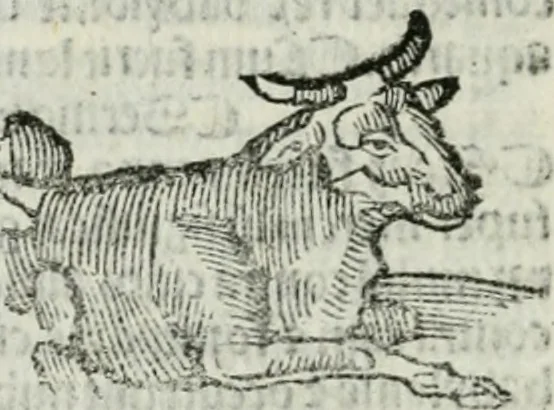An illustration from Albumasar, De magnis [con]iunctionibus, anno[rum] reuolutio[n]ibus, ac eo[rum] profectionibus octo [con]tines tractatus, 1515, leaf 117