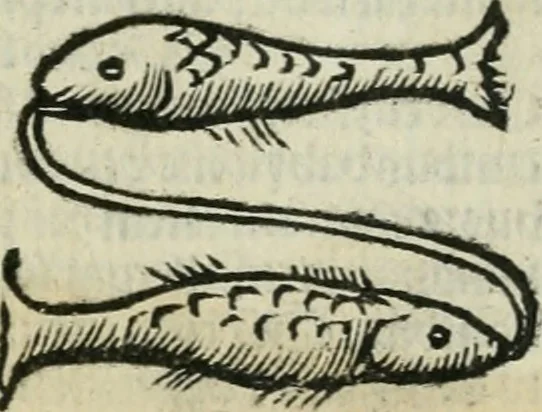 An illustration from Albumasar, De magnis [con]iunctionibus, anno[rum] reuolutio[n]ibus, ac eo[rum] profectionibus octo [con]tines tractatus, 1515, leaf 160