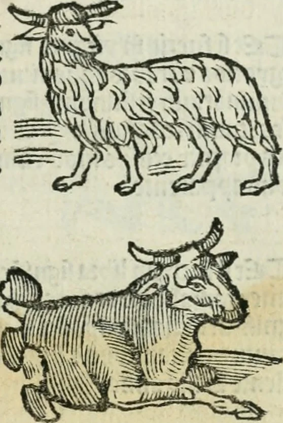 An illustration from Albumasar, De magnis [con]iunctionibus, anno[rum] reuolutio[n]ibus, ac eo[rum] profectionibus octo [con]tines tractatus, 1515, leaf 38