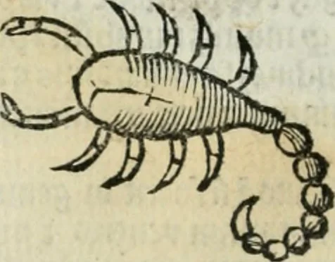 An illustration from Albumasar, De magnis [con]iunctionibus, anno[rum] reuolutio[n]ibus, ac eo[rum] profectionibus octo [con]tines tractatus, 1515, leaf 39