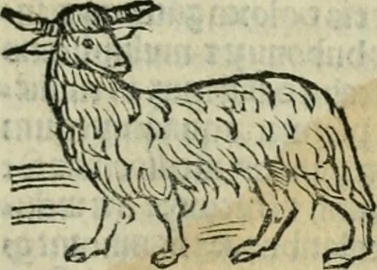An illustration from Albumasar, De magnis [con]iunctionibus, anno[rum] reuolutio[n]ibus, ac eo[rum] profectionibus octo [con]tines tractatus, 1515, leaf 62