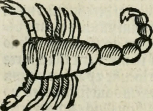 An illustration from Albumasar, De magnis [con]iunctionibus, anno[rum] reuolutio[n]ibus, ac eo[rum] profectionibus octo [con]tines tractatus, 1515, leaf 67