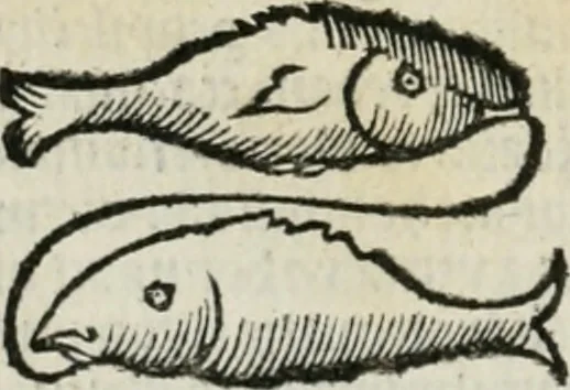 An illustration from Albumasar, De magnis [con]iunctionibus, anno[rum] reuolutio[n]ibus, ac eo[rum] profectionibus octo [con]tines tractatus, 1515, leaf 69