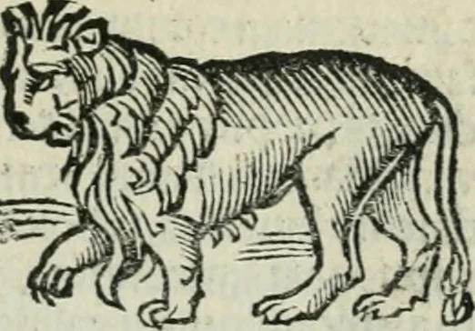 An illustration from Albumasar, De magnis [con]iunctionibus, anno[rum] reuolutio[n]ibus, ac eo[rum] profectionibus octo [con]tines tractatus, 1515, leaf 74