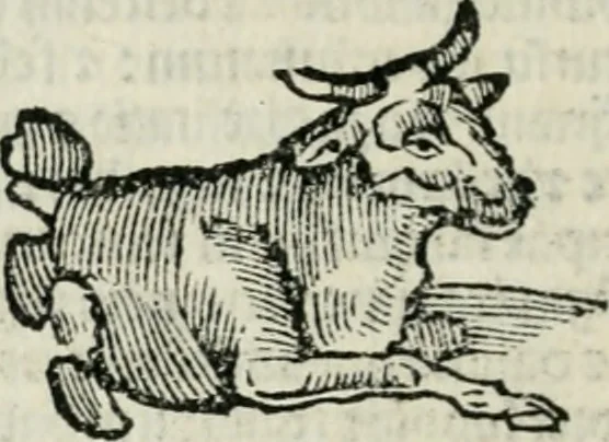 An illustration from Albumasar, De magnis [con]iunctionibus, anno[rum] reuolutio[n]ibus, ac eo[rum] profectionibus octo [con]tines tractatus, 1515, leaf 75