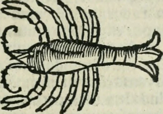 An illustration from Albumasar, De magnis [con]iunctionibus, anno[rum] reuolutio[n]ibus, ac eo[rum] profectionibus octo [con]tines tractatus, 1515, leaf 76
