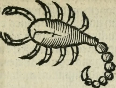 An illustration from Albumasar, De magnis [con]iunctionibus, anno[rum] reuolutio[n]ibus, ac eo[rum] profectionibus octo [con]tines tractatus, 1515, leaf 78