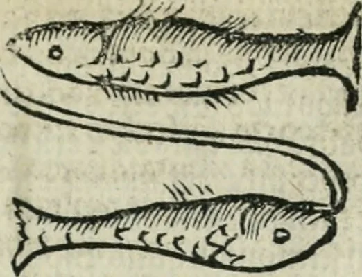 An illustration from Albumasar, De magnis [con]iunctionibus, anno[rum] reuolutio[n]ibus, ac eo[rum] profectionibus octo [con]tines tractatus, 1515, leaf 80