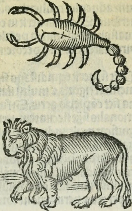An illustration from Albumasar, De magnis [con]iunctionibus, anno[rum] reuolutio[n]ibus, ac eo[rum] profectionibus octo [con]tines tractatus, 1515, leaf 94
