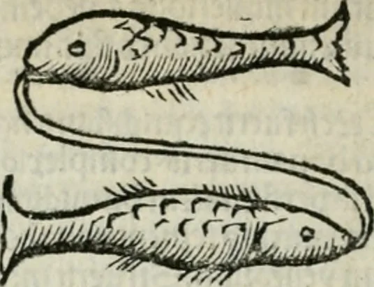 An illustration from Albumasar, De magnis [con]iunctionibus, anno[rum] reuolutio[n]ibus, ac eo[rum] profectionibus octo [con]tines tractatus, 1515, leaf 97