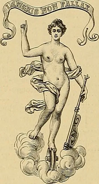 An illustration from Album de broderies au point de croix, 1885, leaf 21