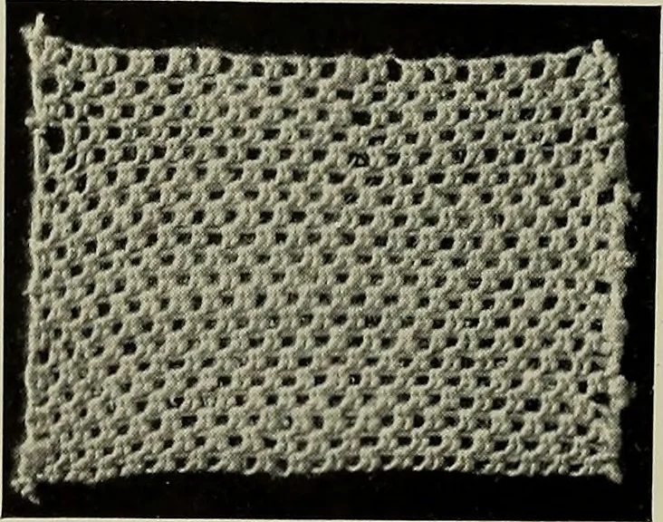 An illustration from Album de dentelle de Venise, 1900, leaf 35