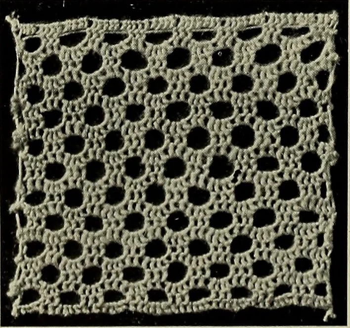 An illustration from Album de dentelle de Venise, 1900, leaf 37
